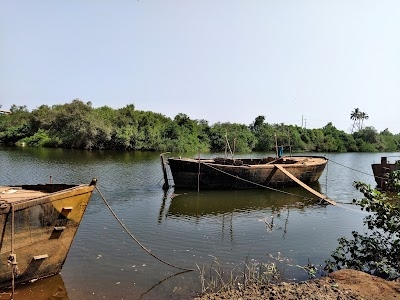 Virdi