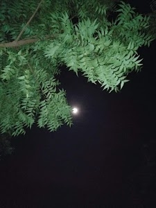 Shukulpur