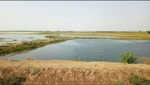 Vadhvana