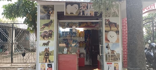 Shain Pets Bazaar