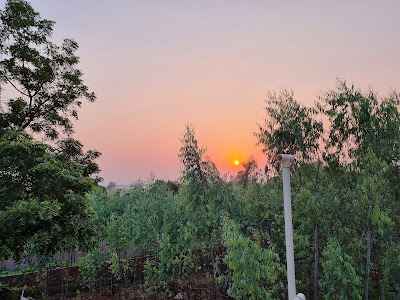 Adhasi