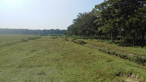 Dalgaon Forest
