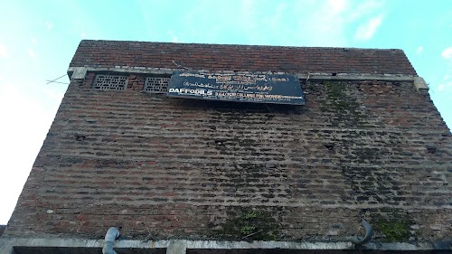 Daffodls D Ed College