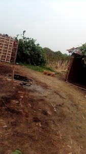 Foji house