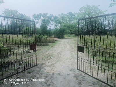 Van Bibhag Parmanent Nursari Bhore