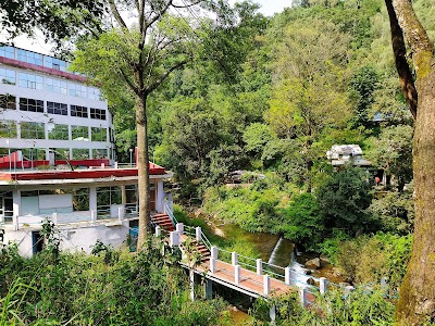 Naincy College Of Nursing