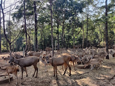 Satmaliya Deer Park