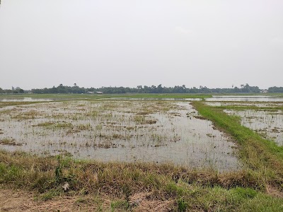 Rameswar