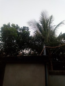 Bhulkuri