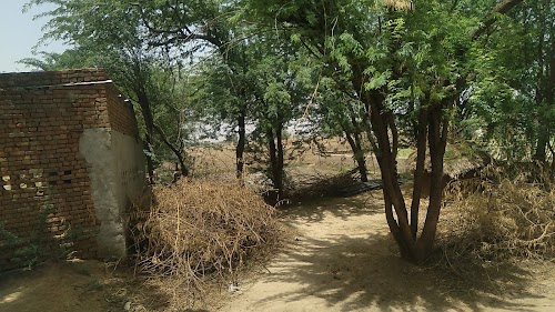 Chitokari