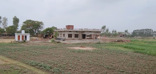 shadiyabad