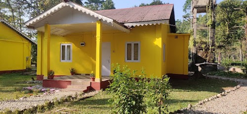 Gorumara Jungle Camp