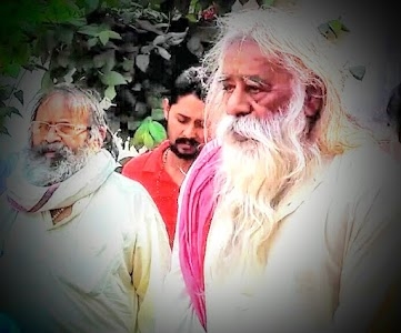 Sadgurudev dairy farm