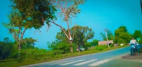 Kodhiyar