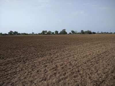 Bhalodia Farm BMB