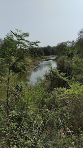 Kalyani कल्यानी नदी