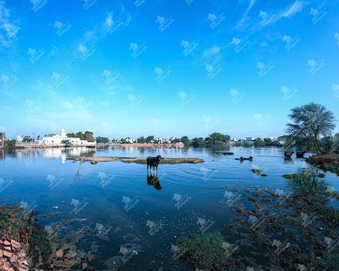 Mandour
