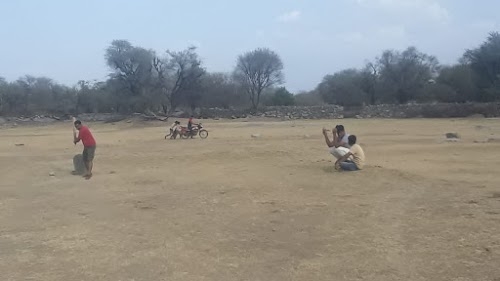 Dholi Magri