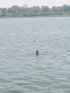 Sitamgarh