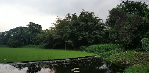 Botanic Garden Central Vista