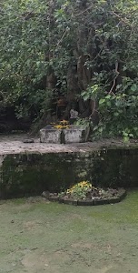 Samiyana