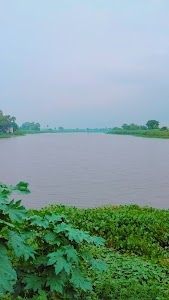 Shobhani