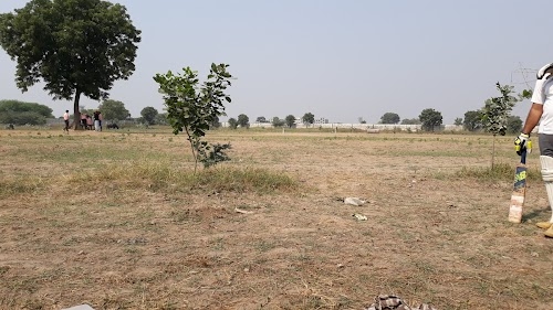 Harfali Cricket Ground