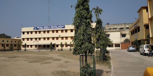 School management