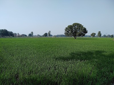 Utripura