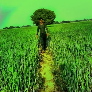 Pali