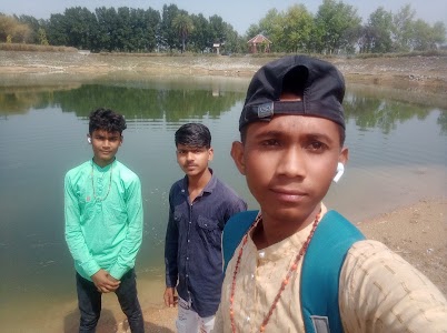 Lotus garden