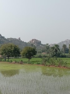 Dandumailaram