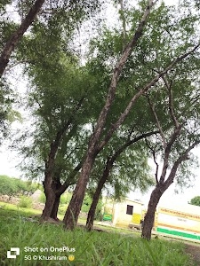 Jogniya Mata ji Seenti