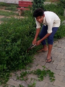 Laxmi Nagar