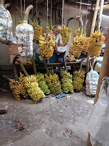 Fruit Shop