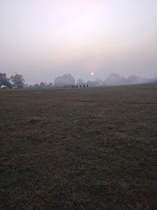 Lamsinga