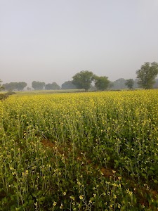 KAALI MAA KA MANDIR