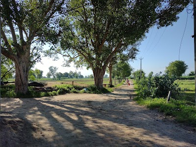Jafarabad