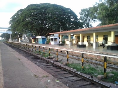 Chikkajajur