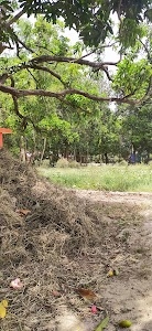 Akodhiya