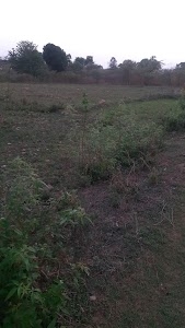 Ghatgaon