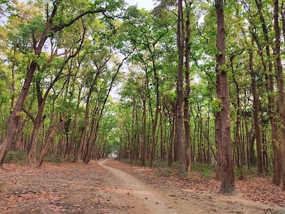 Lakhima Tharua