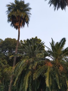 BOTANICAL GARDEN POND