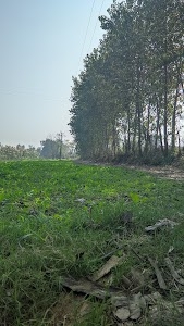 Jagowal Bet