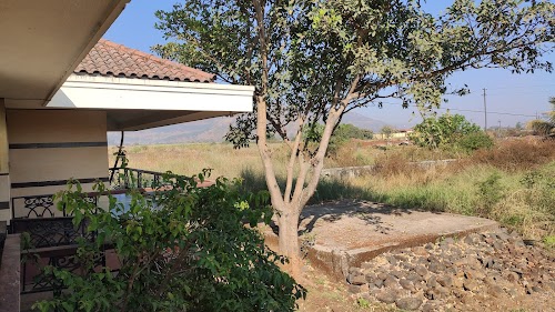The Countryside Farm