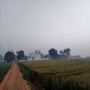 Ch. Muthra Farm House berka