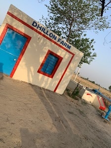 DHILLON FARM YARI
