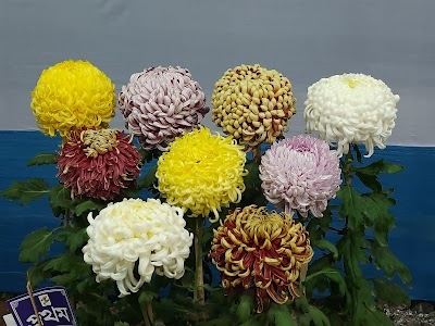 Panihati Utsav o Boimela