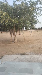 Tera stadium shiv