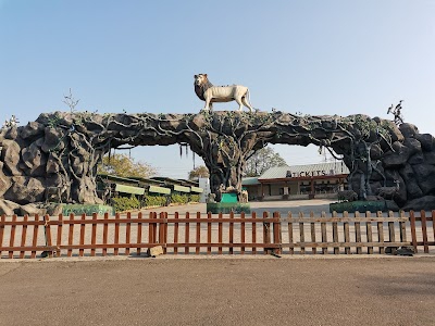 Sardar Patel Zoological Park, kevadiya Jungle safari